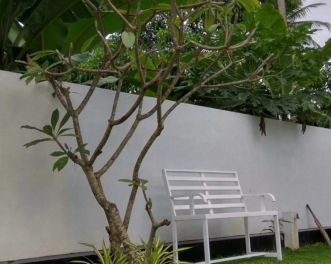 Diva Villa Airport Transit Hotel Katunayake Guest house